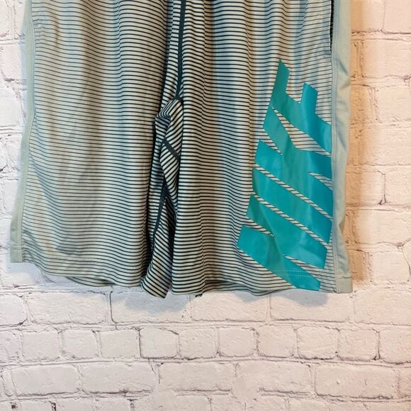 Nike Gray Striped Shorts with Teal Logo - Picture 3 of 7